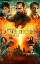 Fantastik Canavarlar Dumbledore’un Sırları izle