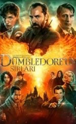 Fantastik Canavarlar Dumbledore’un Sırları izle