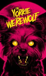 The Yorkie Werewolf izle