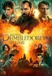 Fantastik Canavarlar Dumbledore’un Sırları izle